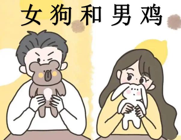 女狗和男鸡配吗