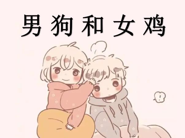 男狗和女鸡配吗