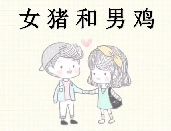 女猪和男鸡配吗