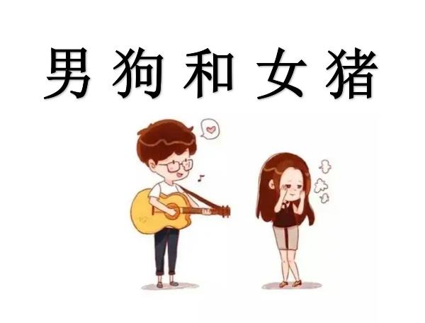 男狗和女猪配吗