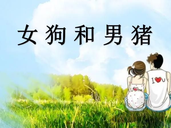 女狗和男猪配吗