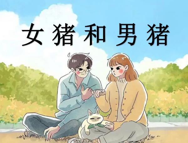 女猪和男猪配吗