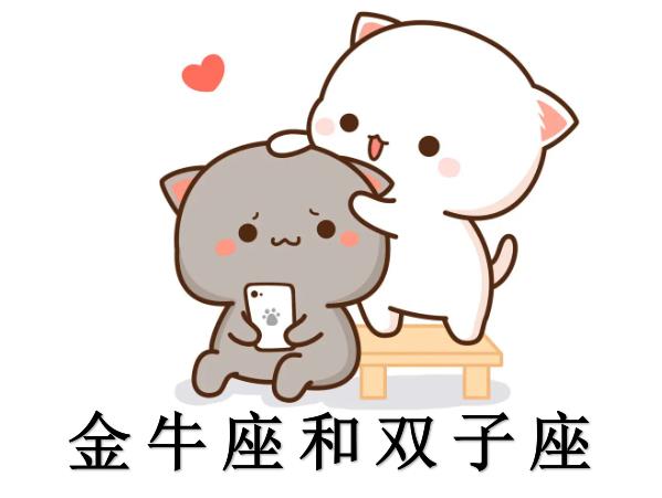 金牛座和双子座配吗