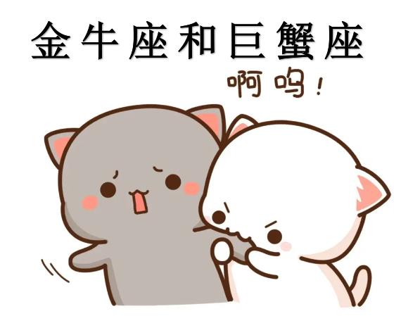 金牛座和巨蟹座配吗