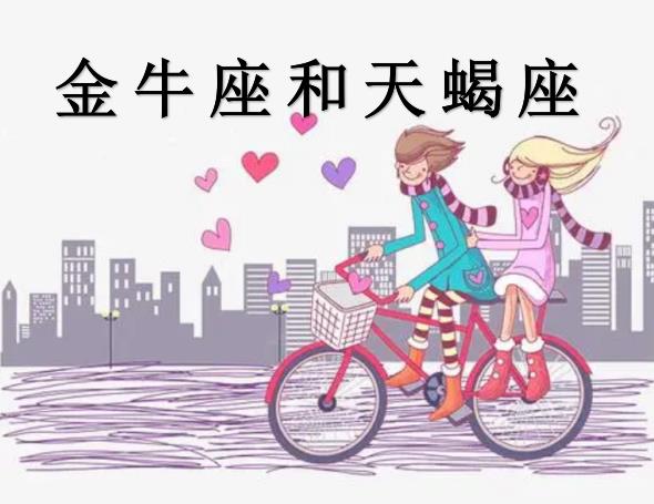 金牛座和天蝎座配吗