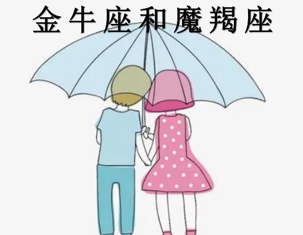 金牛座和魔羯座配吗