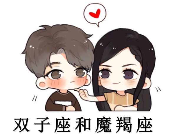 双子座和魔羯座配吗