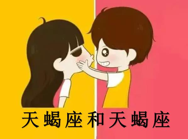 天蝎座和天蝎座配吗