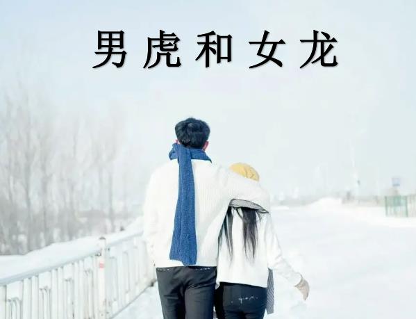 男虎和女龙配吗