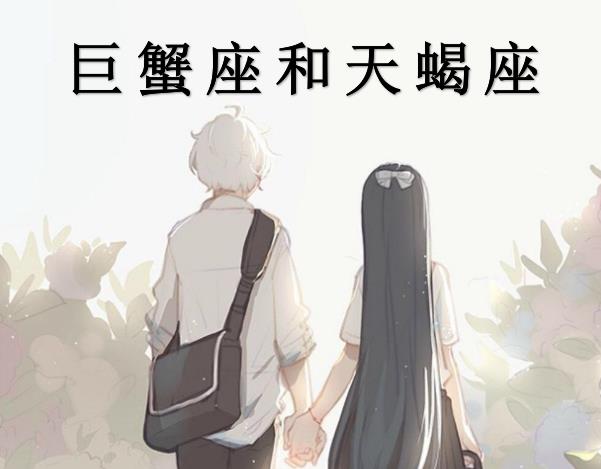 巨蟹座和天蝎座配吗