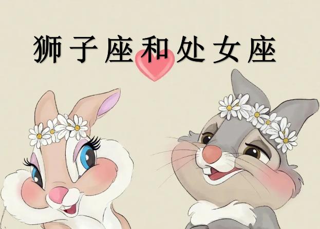 狮子座和处女座配吗
