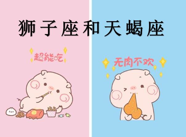 狮子座和天蝎座配吗