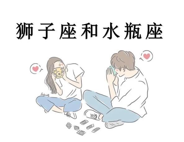 狮子座和水瓶座配吗