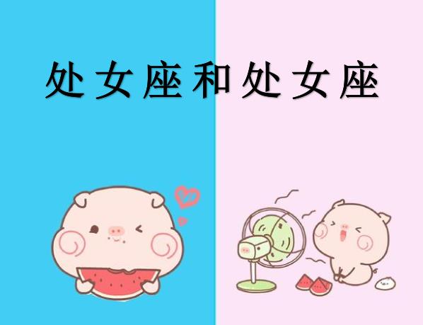 处女座和处女座配吗