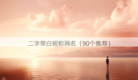 二字带白昵称网名有哪些