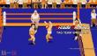 动作游戏《Arcade Archives Tag Team Wrestling》现已发售