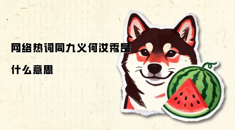 网络热词同九义何汝秀是什么意思