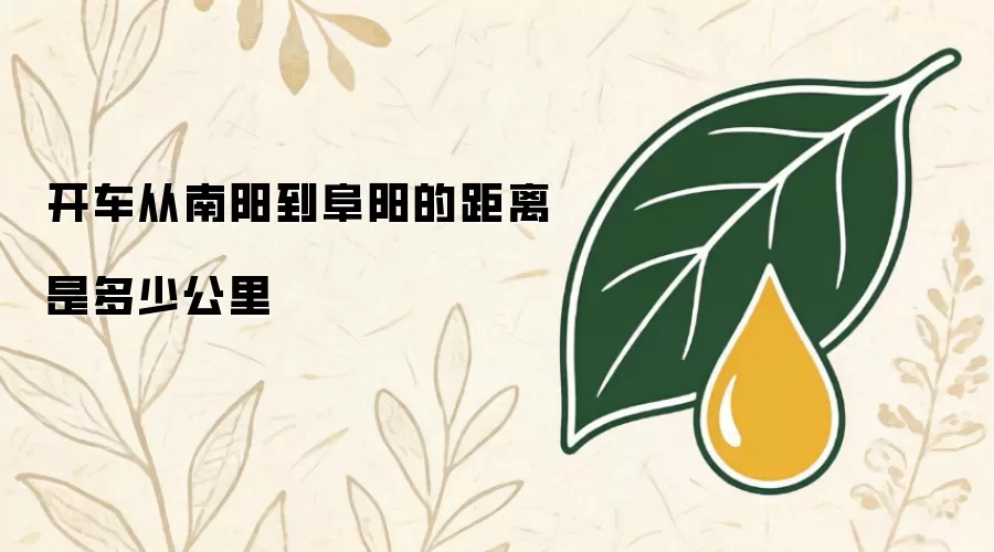 开车从南阳到阜阳的距离是多少公里