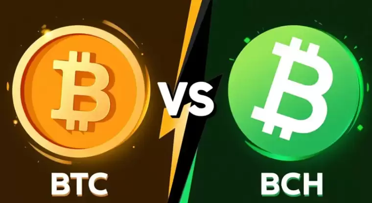 比特币和比特币现金有什么区别