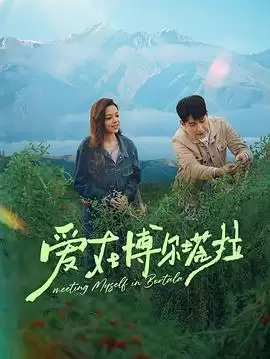 电视剧《爱在博尔塔拉》剧情介绍