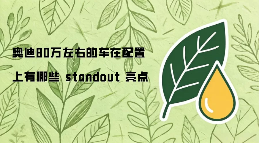 奥迪80万左右的车在配置上有哪些 standout 亮点