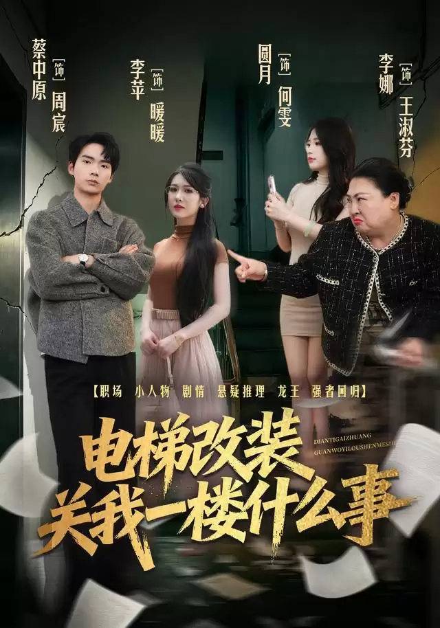 短剧《电梯改装关我一楼什么事》剧情介绍