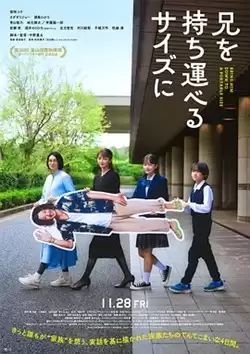 电影《把哥哥变成可以携带的尺寸》剧情介绍