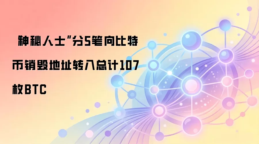 “神秘人士”分5笔向比特币销毁地址转入总计107枚BTC