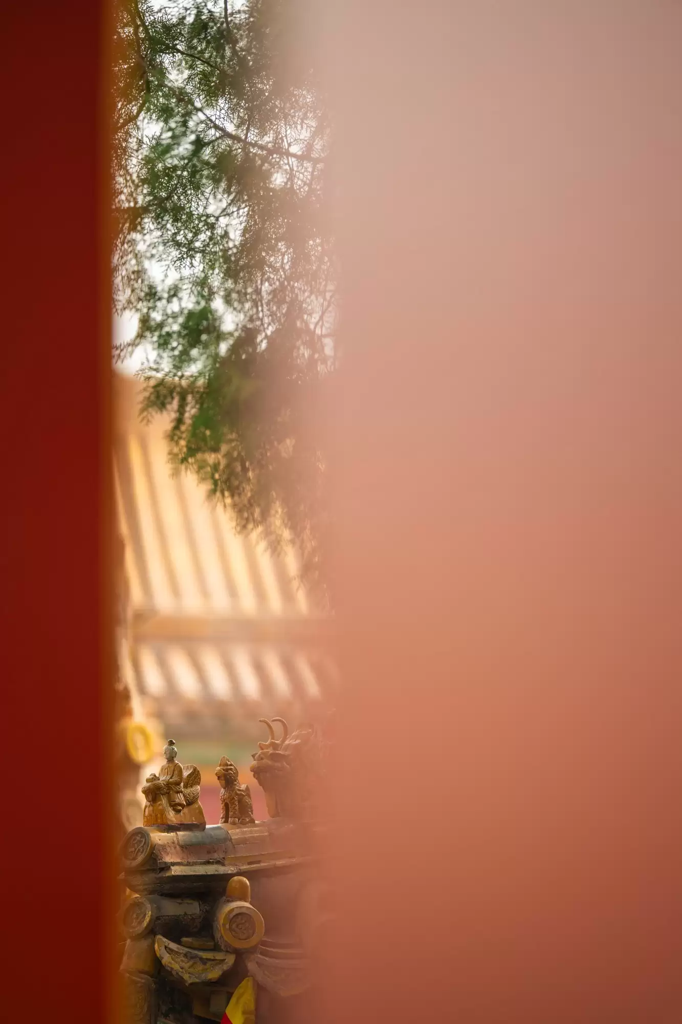 中长焦大三元镜头推荐：尼康尼克尔 Z 70 - 200mm f/2.8 VR S II