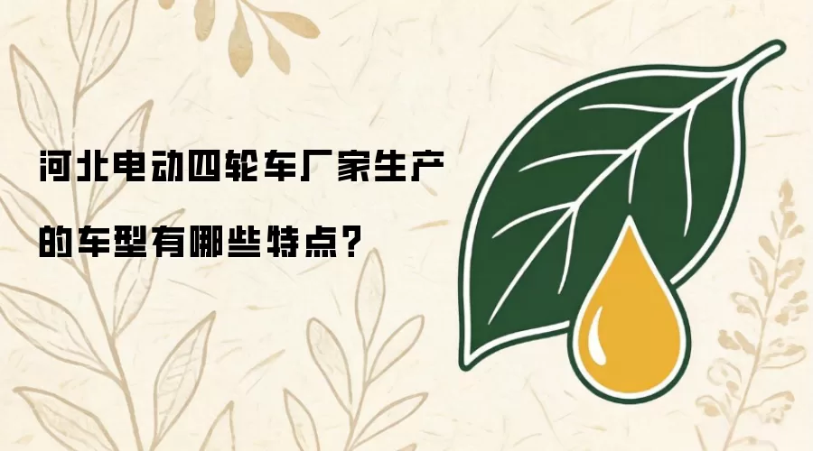 河北电动四轮车厂家生产的车型有哪些特点？