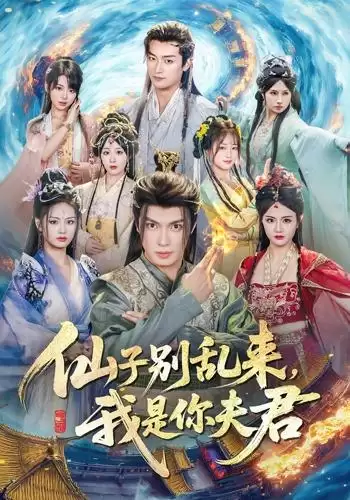 短剧《仙子别乱来，我是你夫君》剧情介绍