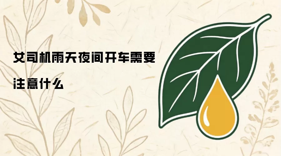 女司机雨天夜间开车需要注意什么
