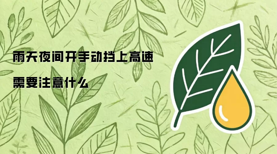 雨天夜间开手动挡上高速需要注意什么