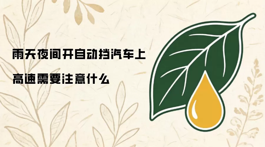 雨天夜间开自动挡汽车上高速需要注意什么