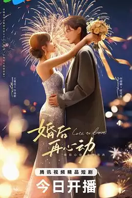 电视剧《婚后再心动》剧情介绍