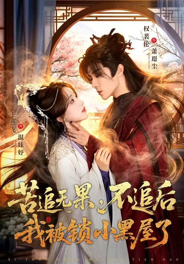 短剧《苦追无果，不追后我被锁小黑屋了》剧情介绍