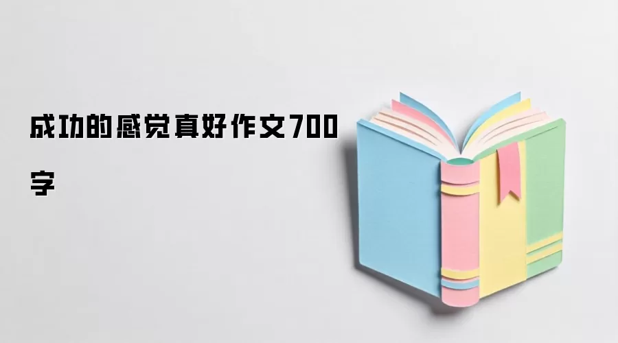 成功的感觉真好作文700字