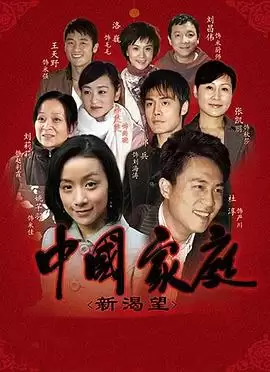 电视剧《中国家庭之新渴望》剧情介绍
