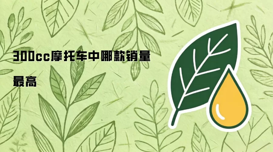 300cc摩托车中哪款销量最高
