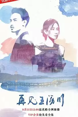电视剧《再见王沥川2018》剧情介绍