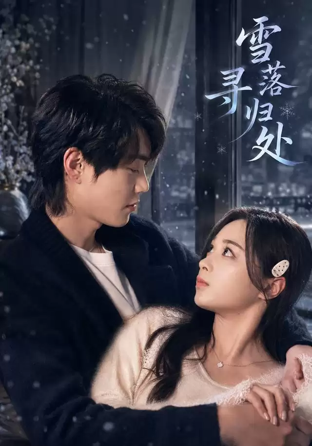 短剧《雪落寻归处》剧情介绍