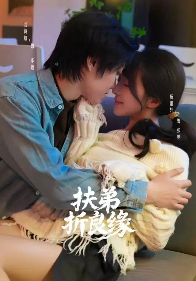 短剧《扶弟折良缘》剧情介绍