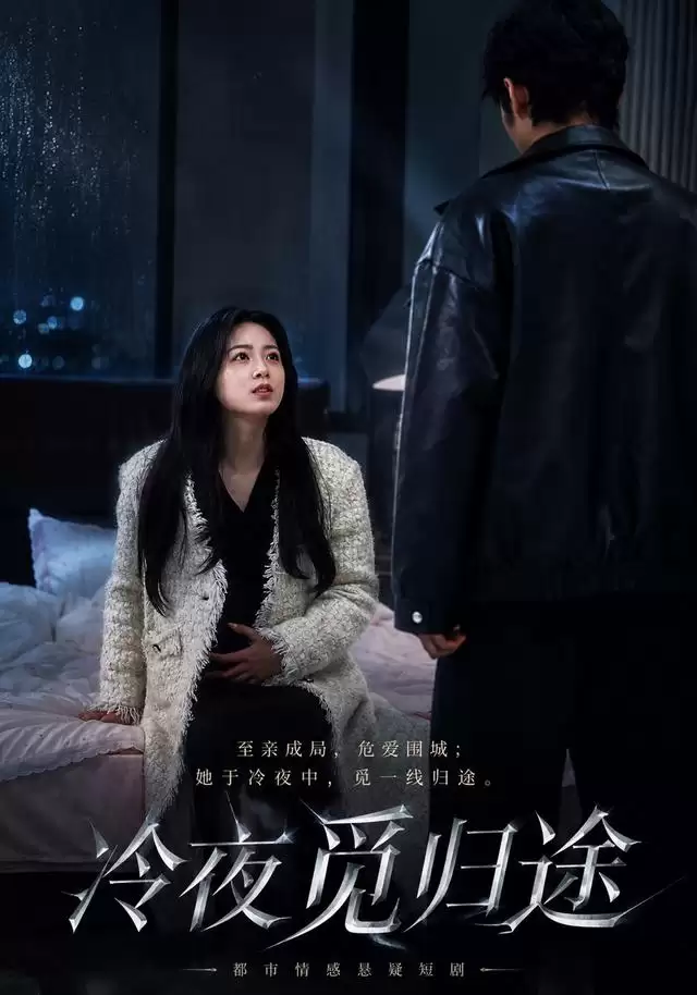短剧《冷夜觅归途》剧情介绍