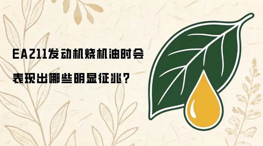 EA211发动机烧机油时会表现出哪些明显征兆?