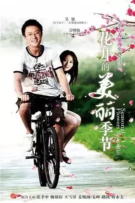电视剧《花开的美丽季节》剧情介绍