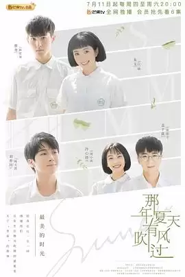 电视剧《那年夏天有风吹过》剧情介绍