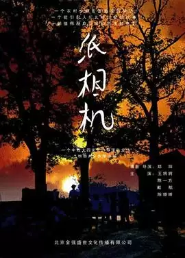 电影《纸相机》剧情介绍