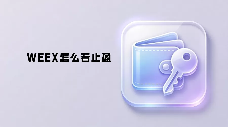 WEEX怎么看止盈