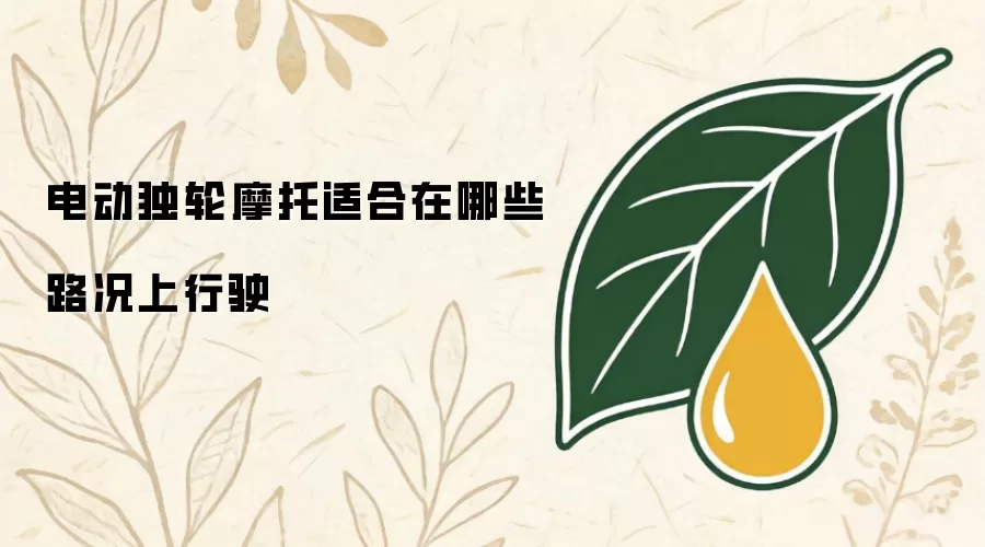 电动独轮摩托适合在哪些路况上行驶