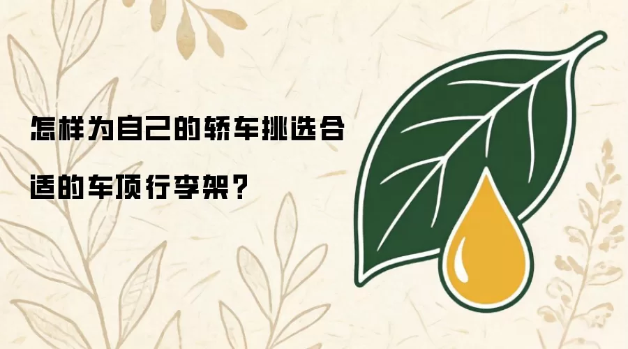 怎样为自己的轿车挑选合适的车顶行李架?